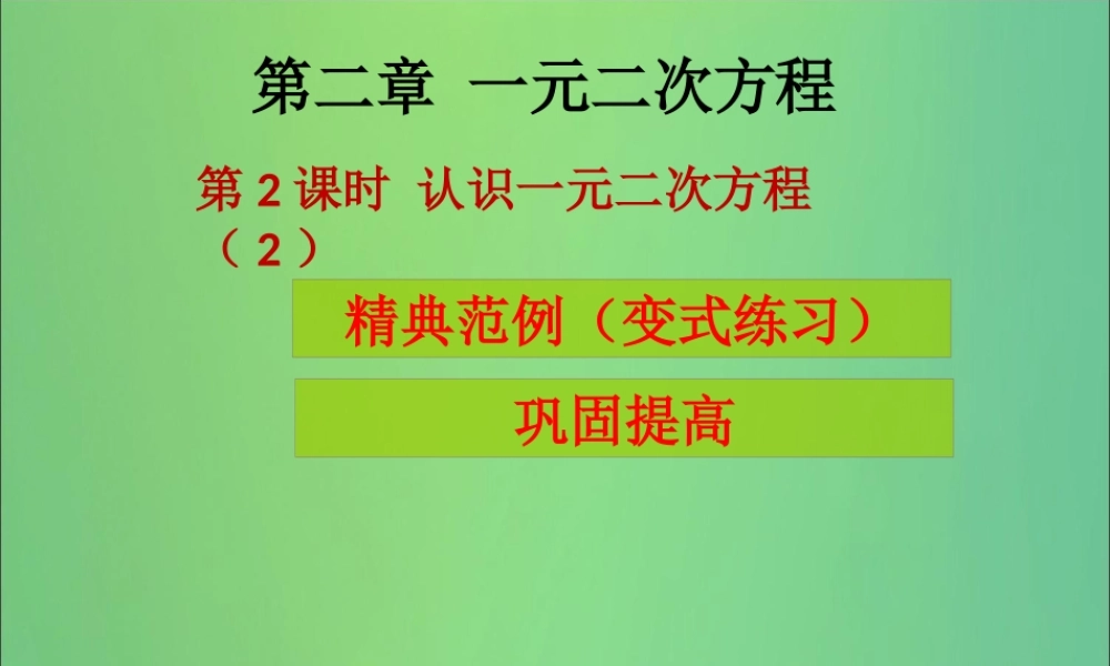 九年级数学上册 第2章 一元二次方程 第2课时 认识一元二次方程(2)(课堂导练)习题课件 (新版)北师大版 课件