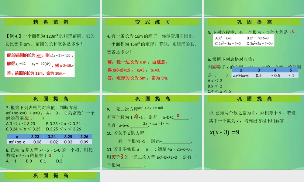 九年级数学上册 第2章 一元二次方程 第2课时 认识一元二次方程(2)(课堂导练)习题课件 (新版)北师大版 课件