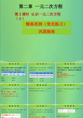 九年级数学上册 第2章 一元二次方程 第2课时 认识一元二次方程(2)(课堂导练)习题课件 (新版)北师大版 课件