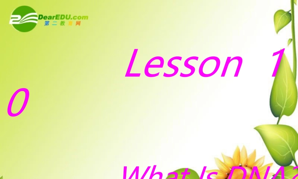 九年级英语下册：Unit2 DNA Lesson 10 What Is DNA 课件(冀教版) 课件