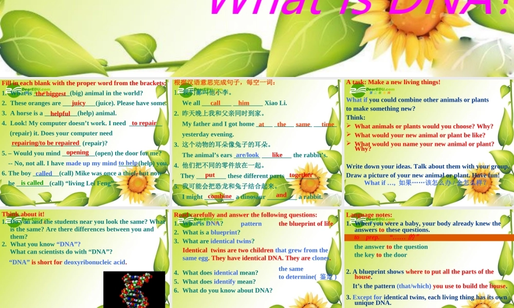 九年级英语下册：Unit2 DNA Lesson 10 What Is DNA 课件(冀教版) 课件