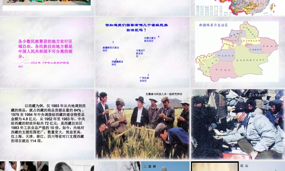 八年级历史下册 第11课 民族团结课件 新人教版 课件