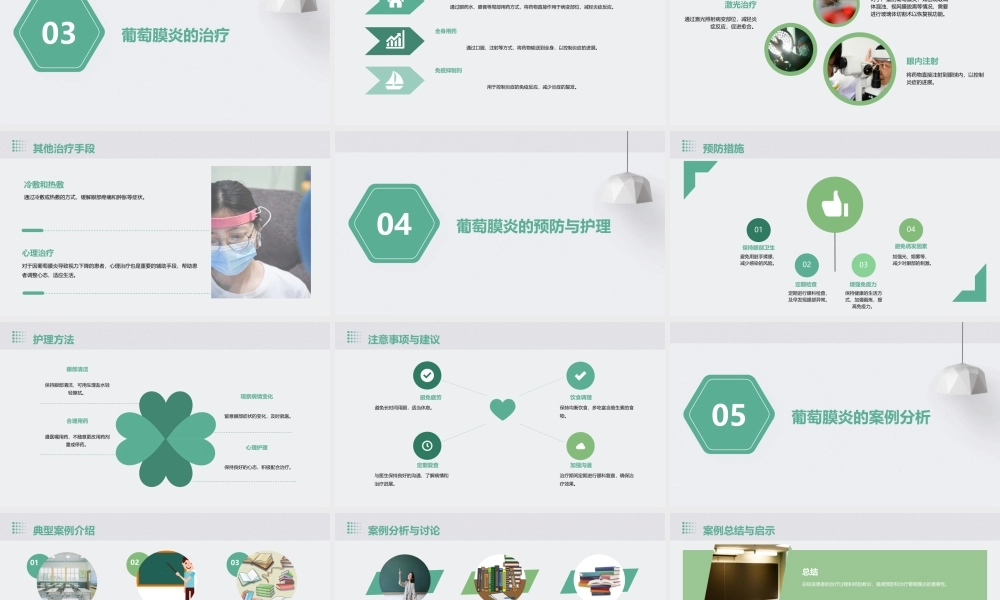 课时葡萄膜炎课件