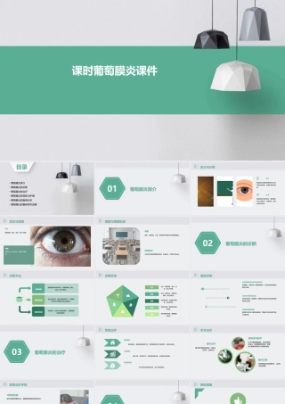 课时葡萄膜炎课件