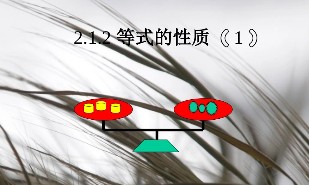 初一数学等式性质课件 新课标 人教版 课件