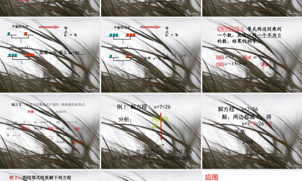 初一数学等式性质课件 新课标 人教版 课件