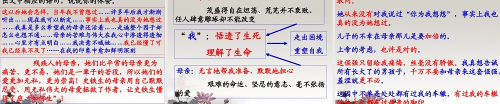 中学高一语文(我与地坛)课件
