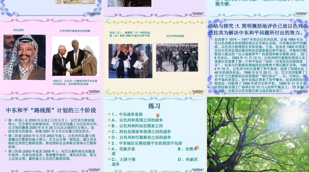 九年级历史动荡的中东地区课件示例 课件
