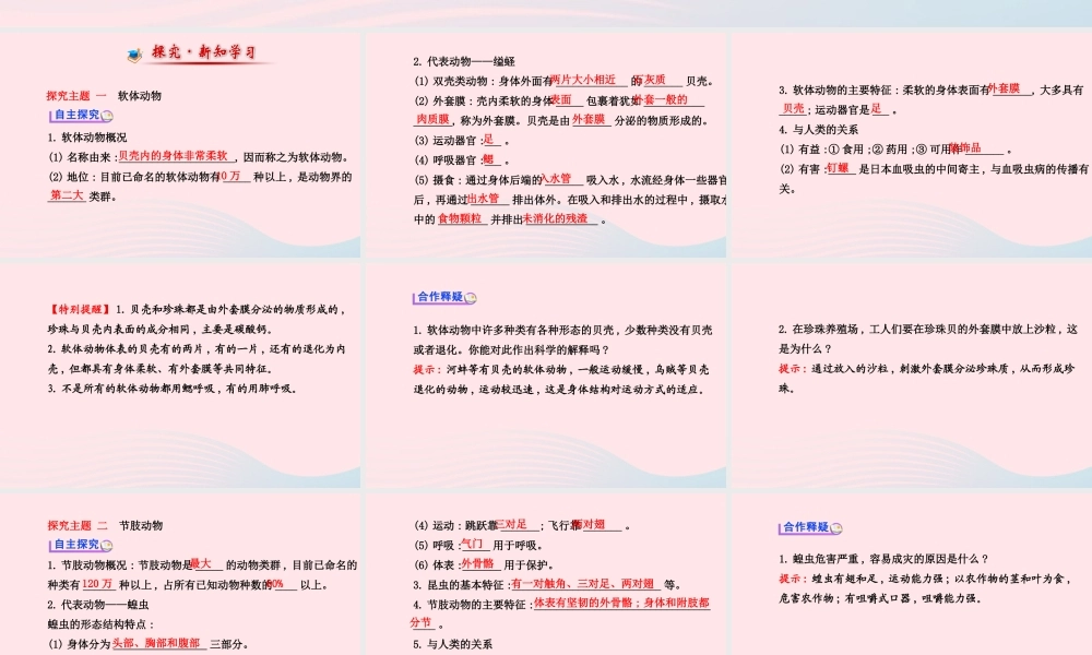 八年级生物上册 第五单元 第一章 第三节 软体动物和节肢动物课件 (新版)新人教版 课件