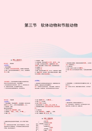 八年级生物上册 第五单元 第一章 第三节 软体动物和节肢动物课件 (新版)新人教版 课件