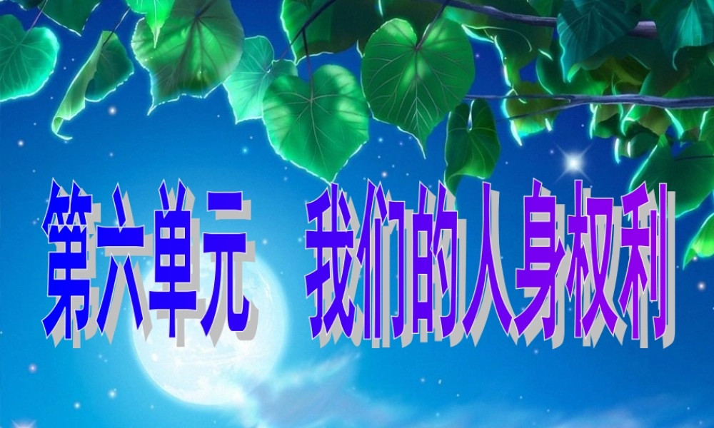 八年级政治下册 我们的人身权利课件 粤教版 课件