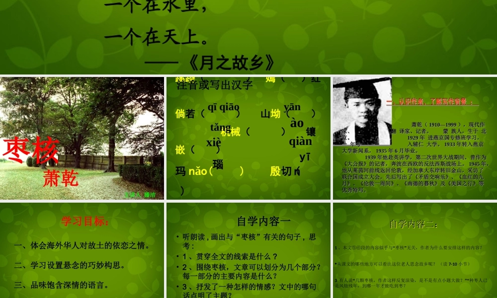 八年级语文上册 6 枣核课件2 苏教版 课件