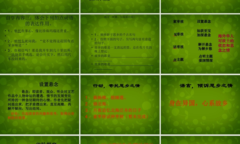 八年级语文上册 6 枣核课件2 苏教版 课件