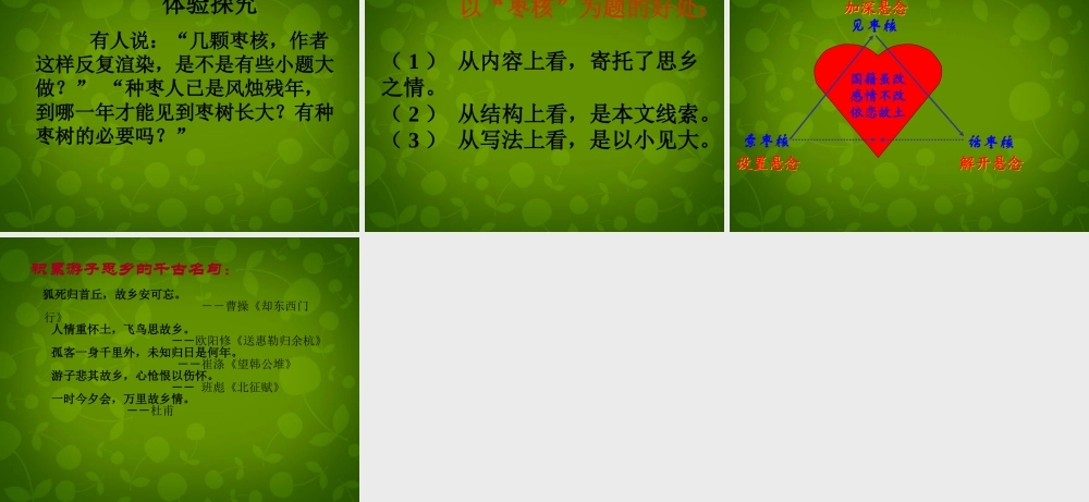 八年级语文上册 6 枣核课件2 苏教版 课件
