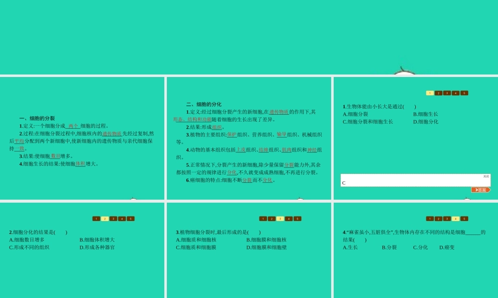 七年级生物上册 1.2.2 细胞的分裂与分化课件 (新版)济南版 课件