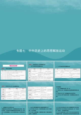 中考历史复习 专题七 中外历史上的思想解放运动课件