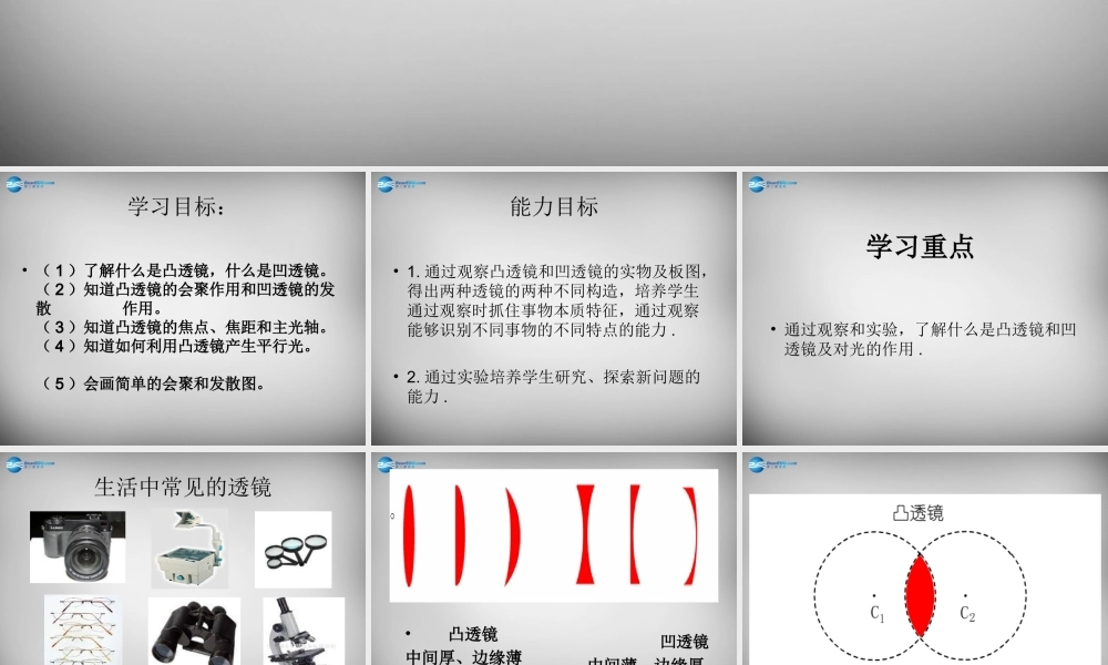 八年级物理上册 5.1 透镜课件3 (新版)新人教版 课件