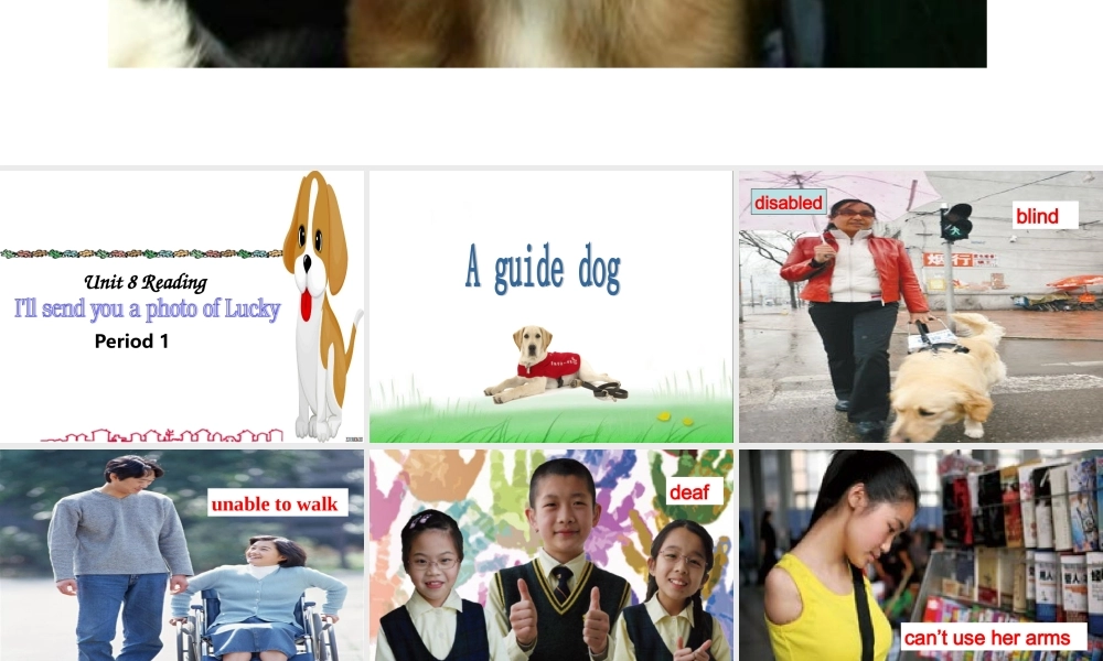 九年级英语 unit8 reading教学课件 人教新目标版 课件