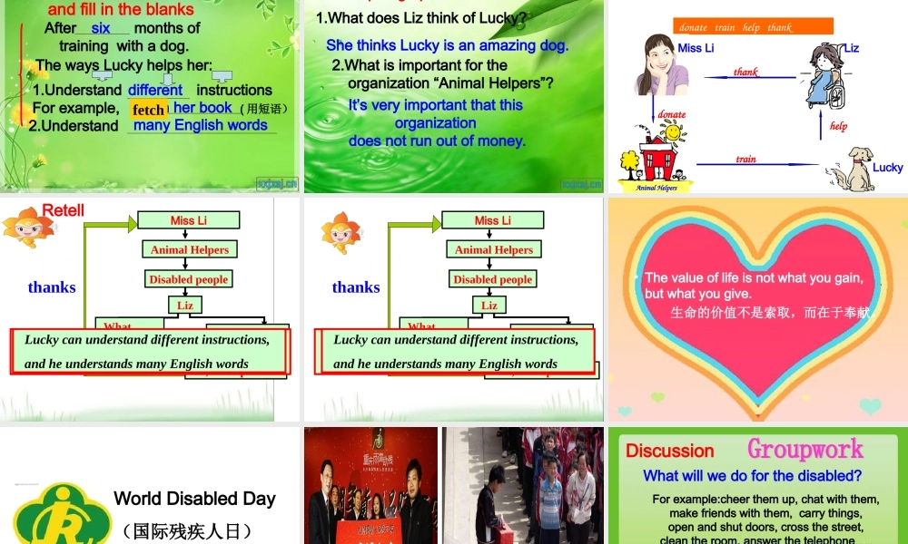 九年级英语 unit8 reading教学课件 人教新目标版 课件