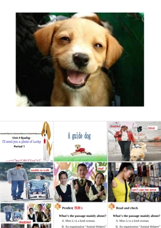 九年级英语 unit8 reading教学课件 人教新目标版 课件