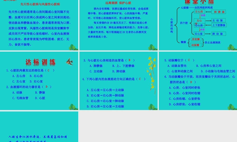 七年级生物下册 4.4.3输送血液的泵 心脏课件 七年级生物下册 4.4.3输送血液的泵 心脏课件+素材(新版)新人教版