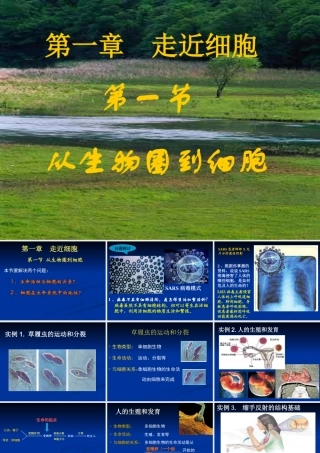 第1章第1节从生物圈到细胞