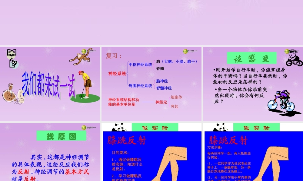 中学七年级生物下册 神经调节的基本方式课件 新人教版 课件