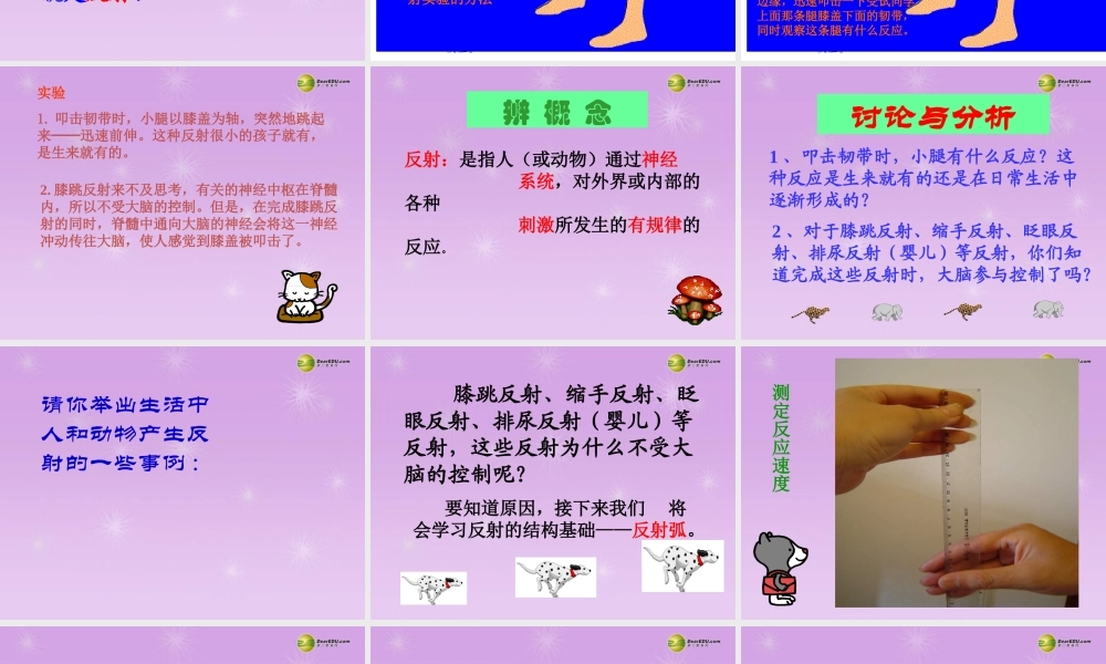 中学七年级生物下册 神经调节的基本方式课件 新人教版 课件