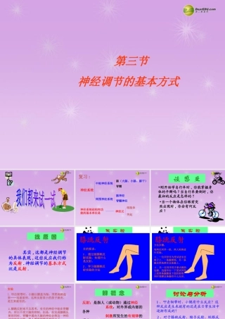 中学七年级生物下册 神经调节的基本方式课件 新人教版 课件