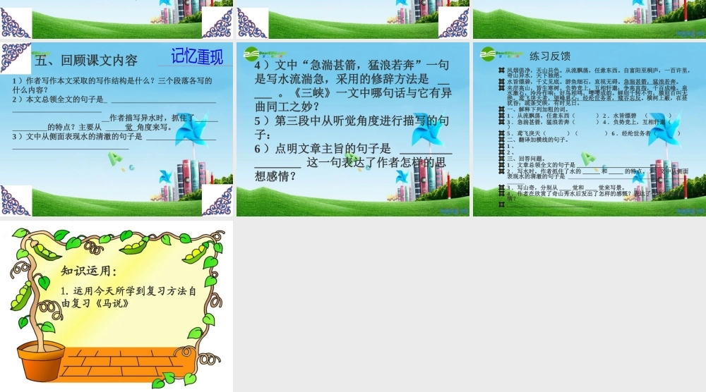 八年级语文上册 (与朱元思书)复习课件 鲁教版 课件