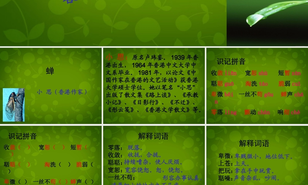 中学七年级语文上册 18 短文两篇课件 (新版)新人教版