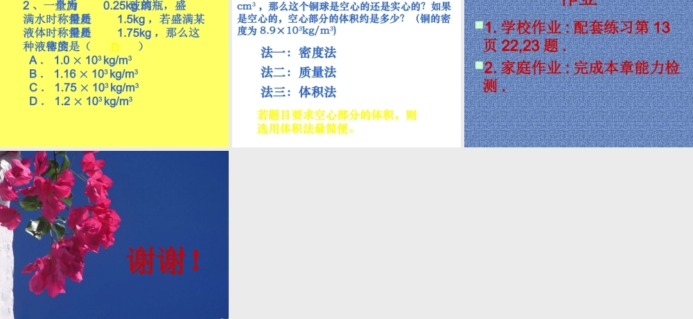 九年级物理：第十一章 多彩的物质世界复习课件人教新课标 课件