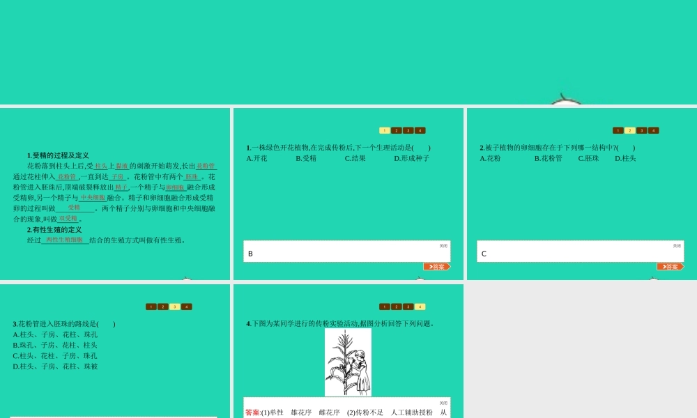 八年级生物上册 第四单元 第一章 第二节 传粉与受精(第2课时 受精)课件 (新版)济南版 课件