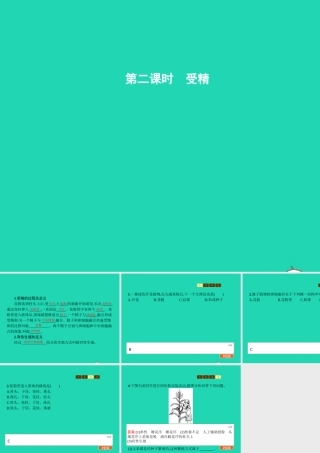 八年级生物上册 第四单元 第一章 第二节 传粉与受精(第2课时 受精)课件 (新版)济南版 课件