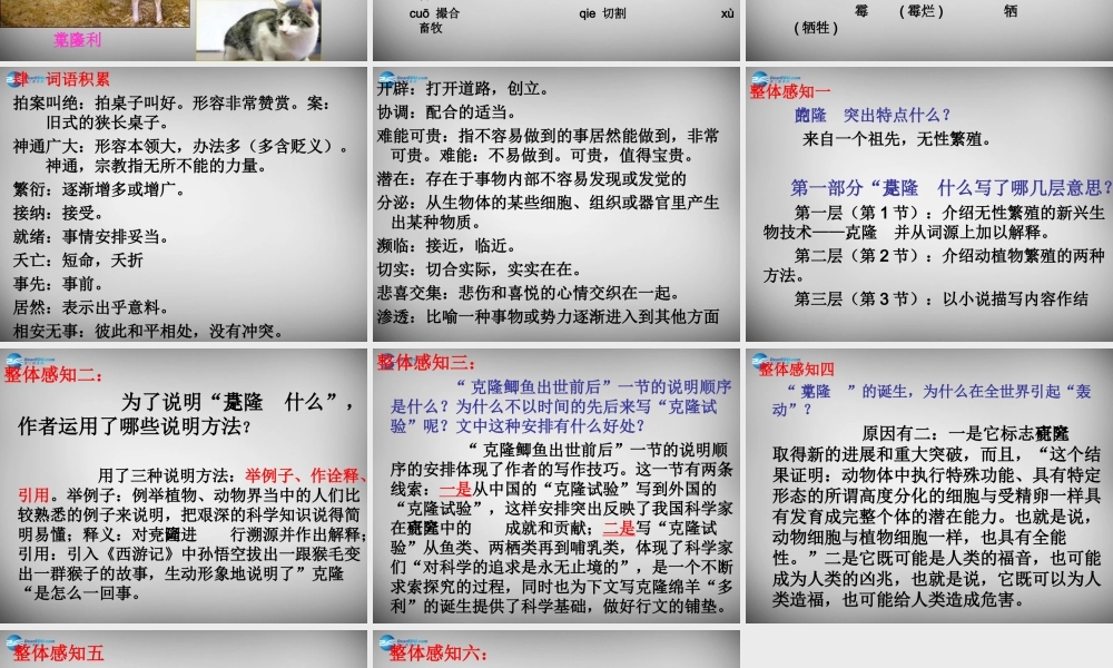 中学八年级语文上册 17 奇妙的克隆课件 新人教版 课件