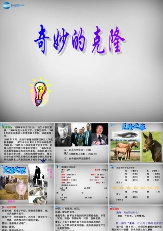 中学八年级语文上册 17 奇妙的克隆课件 新人教版 课件