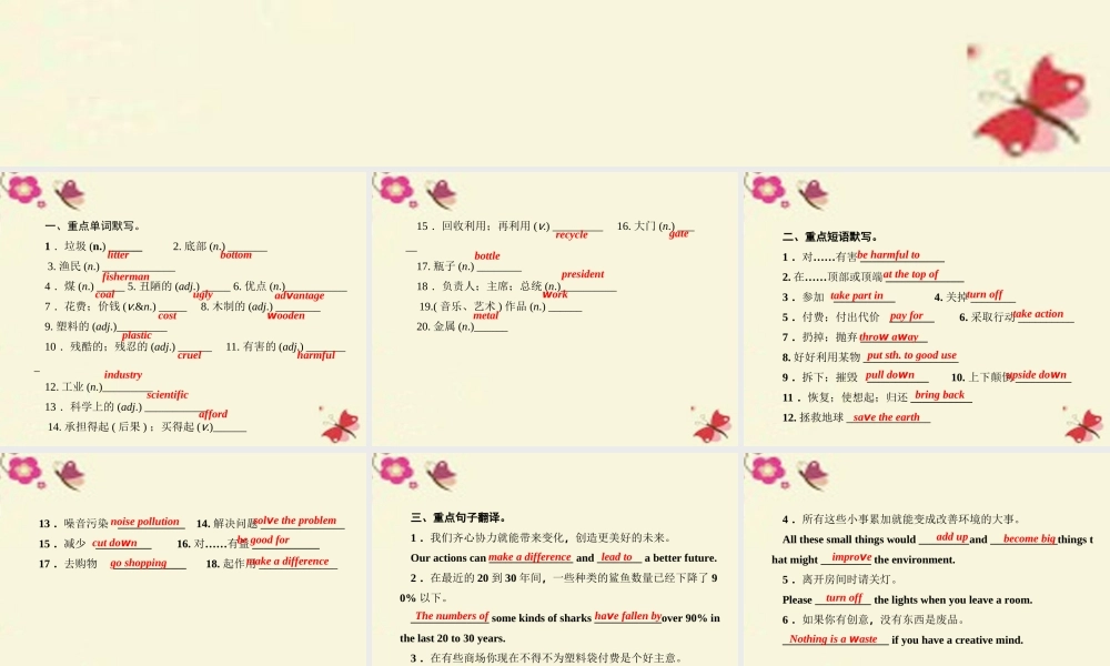 九年级英语全册 Unit 13 We're trying to save the earth单元基础知识复习小测课件 (新版)人教新目标版 课件