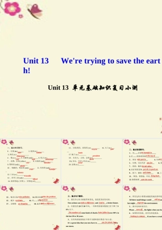 九年级英语全册 Unit 13 We're trying to save the earth单元基础知识复习小测课件 (新版)人教新目标版 课件