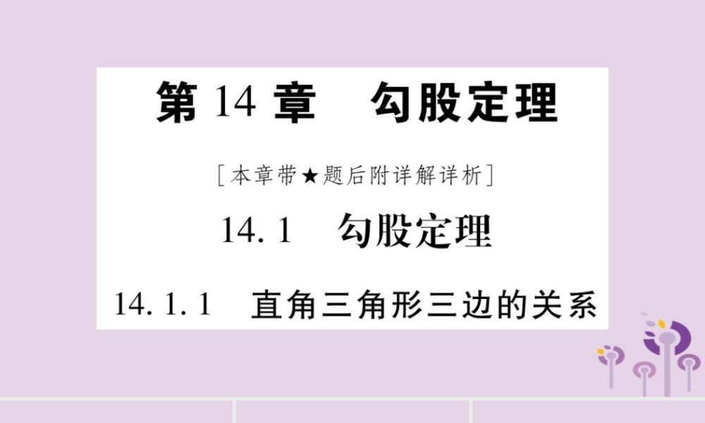 八年级数学上册 第14章 勾股定理 14.1 勾股定理 14.1.1 直角三角形三边的关系作业课件 (新版)华东师大版 课件