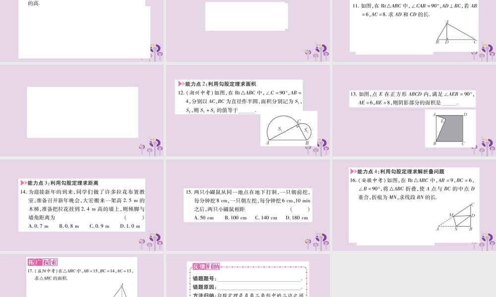 八年级数学上册 第14章 勾股定理 14.1 勾股定理 14.1.1 直角三角形三边的关系作业课件 (新版)华东师大版 课件