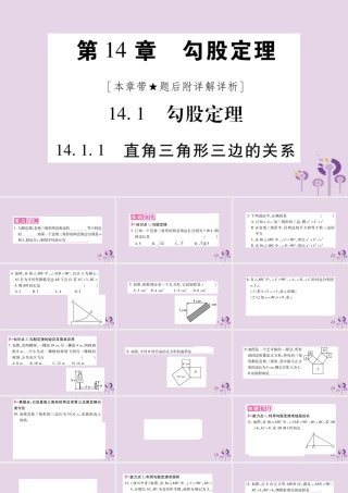 八年级数学上册 第14章 勾股定理 14.1 勾股定理 14.1.1 直角三角形三边的关系作业课件 (新版)华东师大版 课件