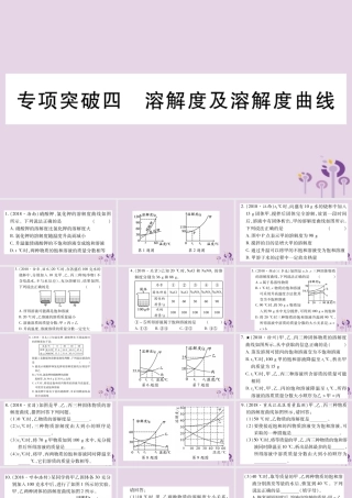 中考化学复习 专项突破四 溶解度及溶解度曲线(精练)课件