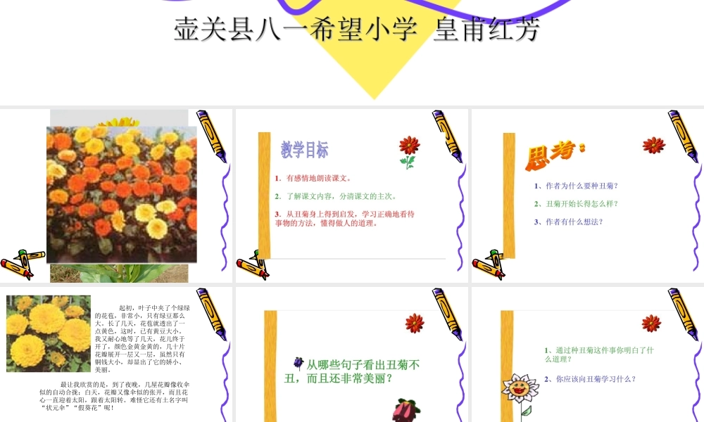 四年级下册丑菊课件