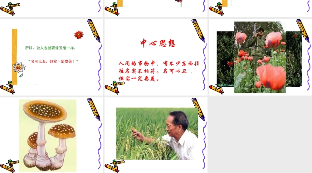 四年级下册丑菊课件