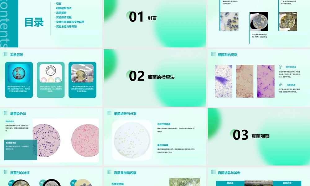 试验一细菌的检查法及真菌观察课件