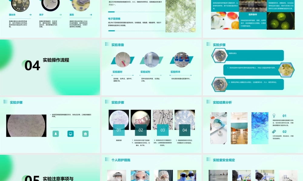 试验一细菌的检查法及真菌观察课件