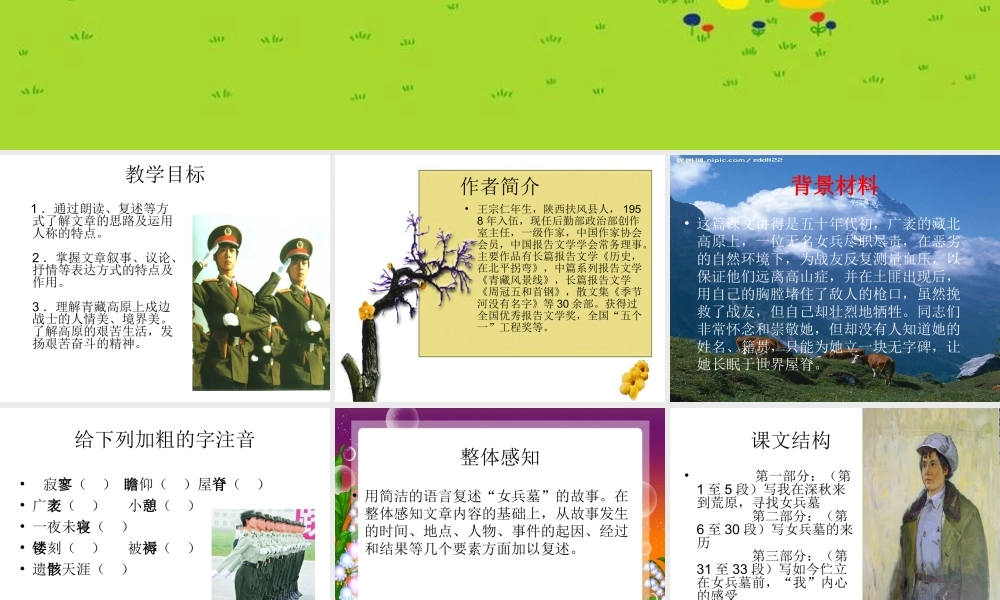 七年级语文上：第11课(女兵墓)课件(北京课改版) 课件