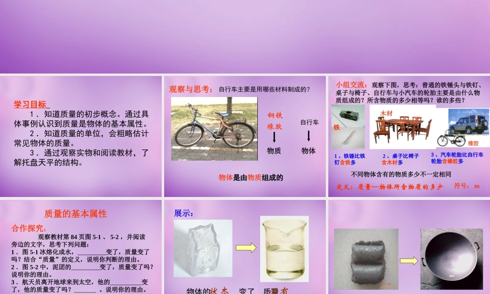 中学八年级物理全册 5.1 质量课件 (新版)沪科版 课件