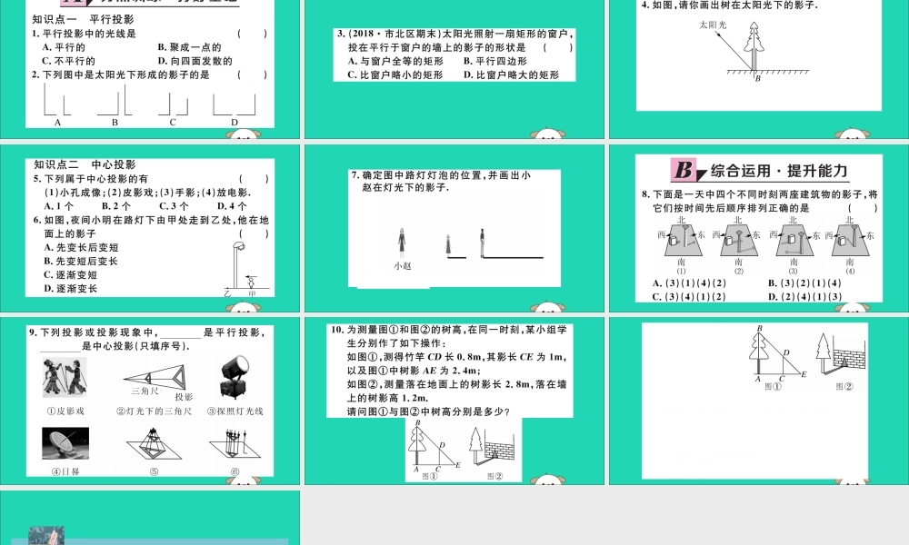 九年级数学下册 第二十九章 投影与视图 291 投影 第1课时 平行投影与中心投影习题讲评课件 (新版)新人教版 课件