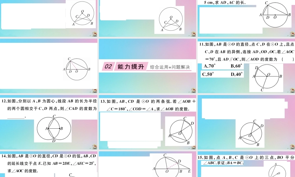 九年级数学上册 第24章(圆)241 圆的有关性质 2411 圆作业课件 (新版)新人教版 课件